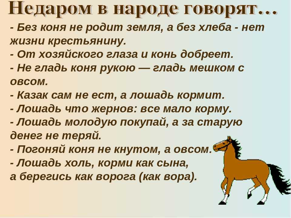 Маленькая лошадка склонение. Пословицы о лошадях и конях. Поговорки про коня. Пословицы и поговорки о лошадях. Пословицы про лошадей.