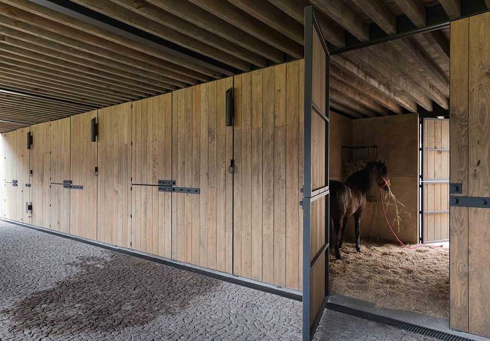Требования к содержанию лошадей в частном подворье