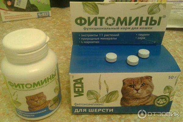 Pro plan veterinary diets fortiflora для кошек для нормализации баланса кишечной микрофлоры