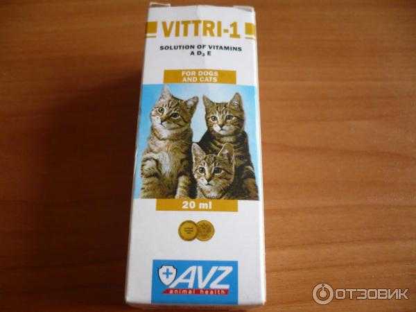 Виттри-1 для кошек: описание, инструкция по применению