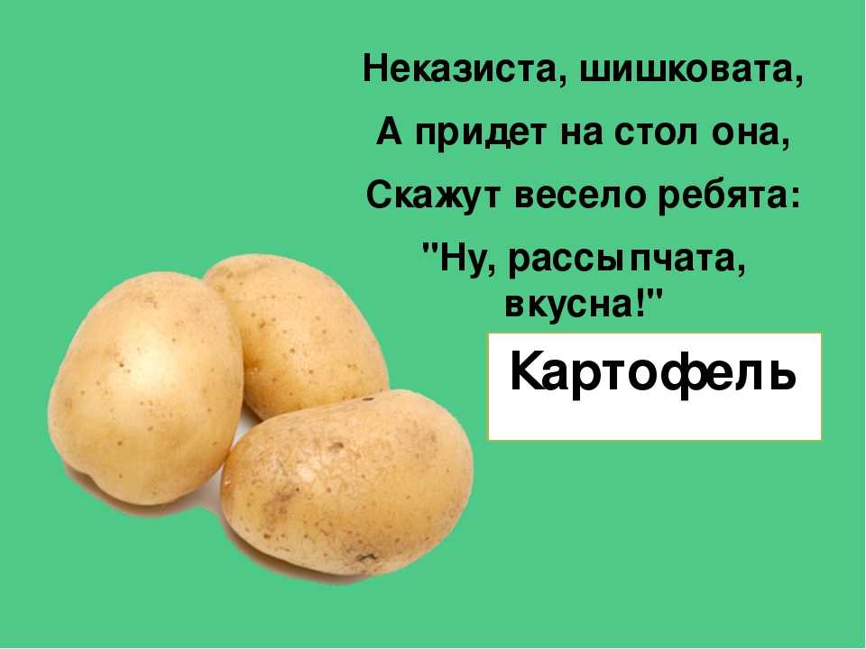 Подбери к слову картофель. Загадка про картошку. Загадка про картофель. Загадка про картошку для детей. Загадка про картофель для детей.