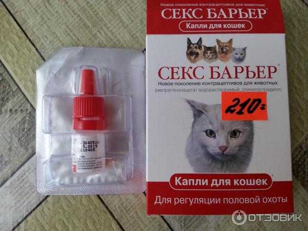 Гестренол капли для кошек отзывы ветеринаров