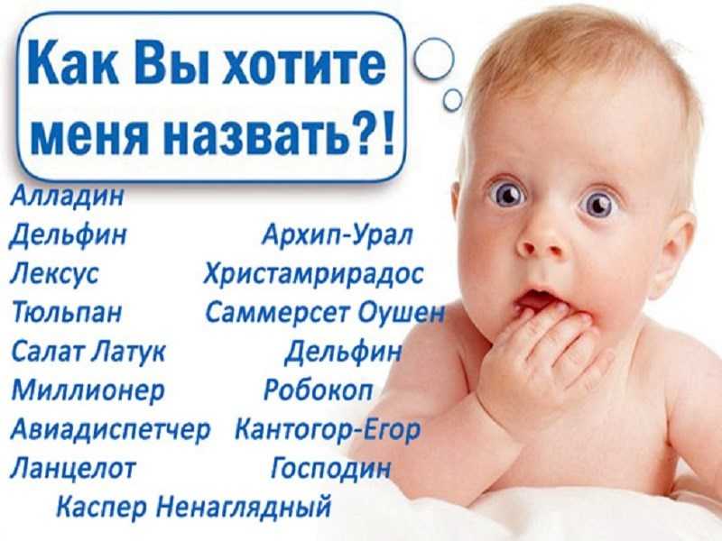 ᐉ как определить пол улитки, как отличить улиток мальчика от девочки? - zoomanji.ru