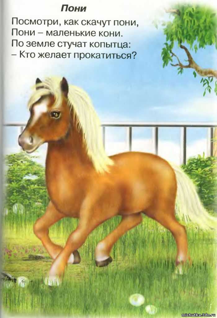 Стихи про лошадей, коней