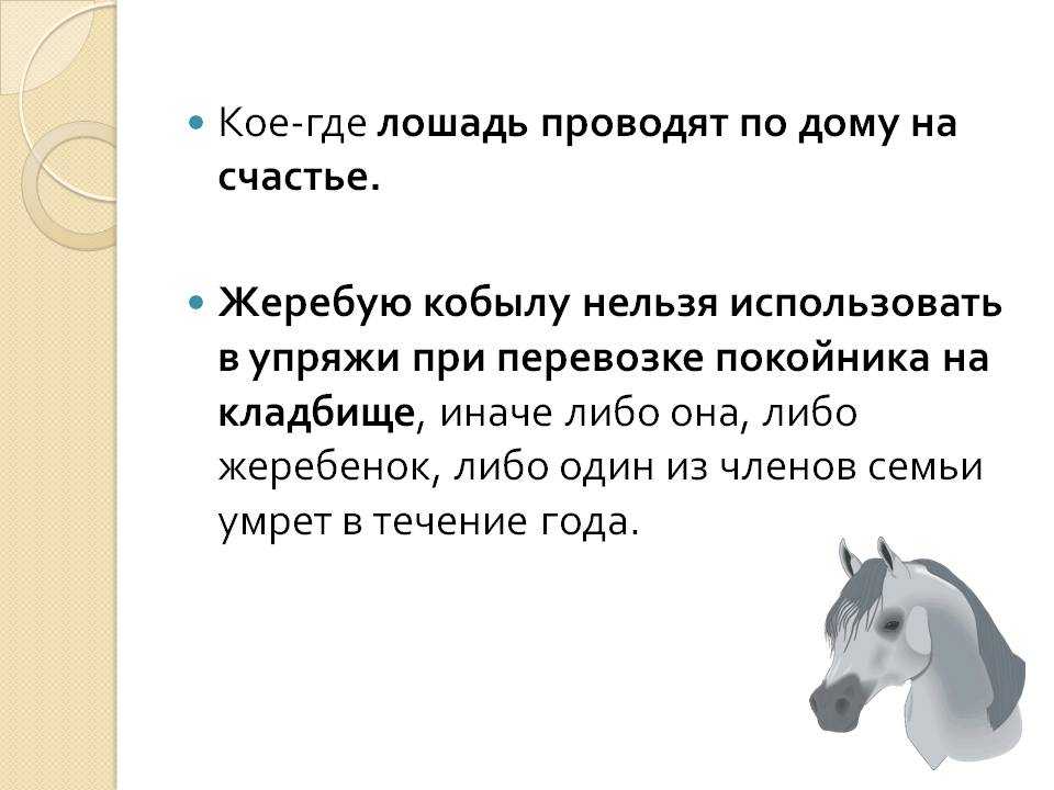 ᐉ когда жеребенок станет конем — как узнать жеребая кобыла или нет? - zooshop-76.ru