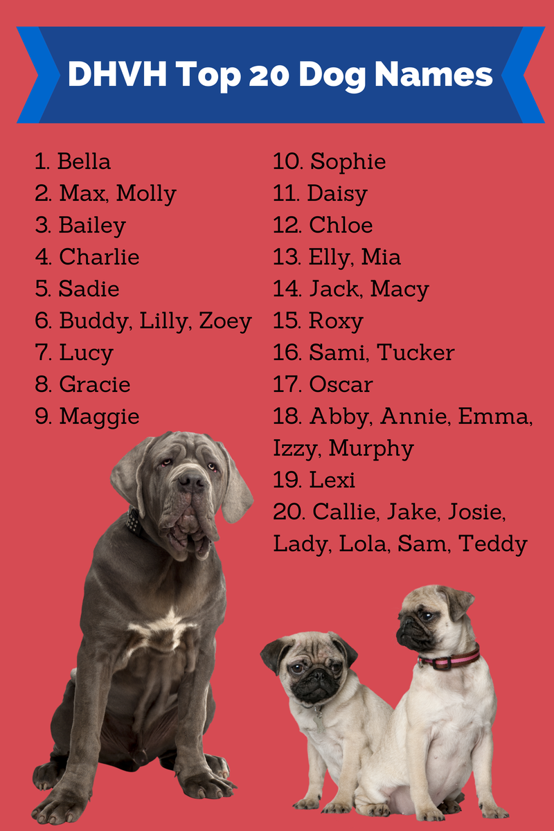 Красивые имена для щенков
