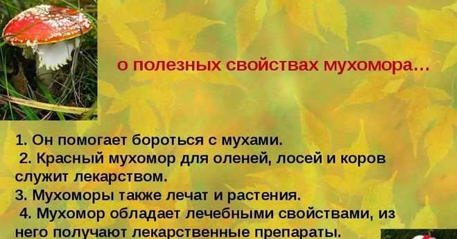 Загадки для детей
