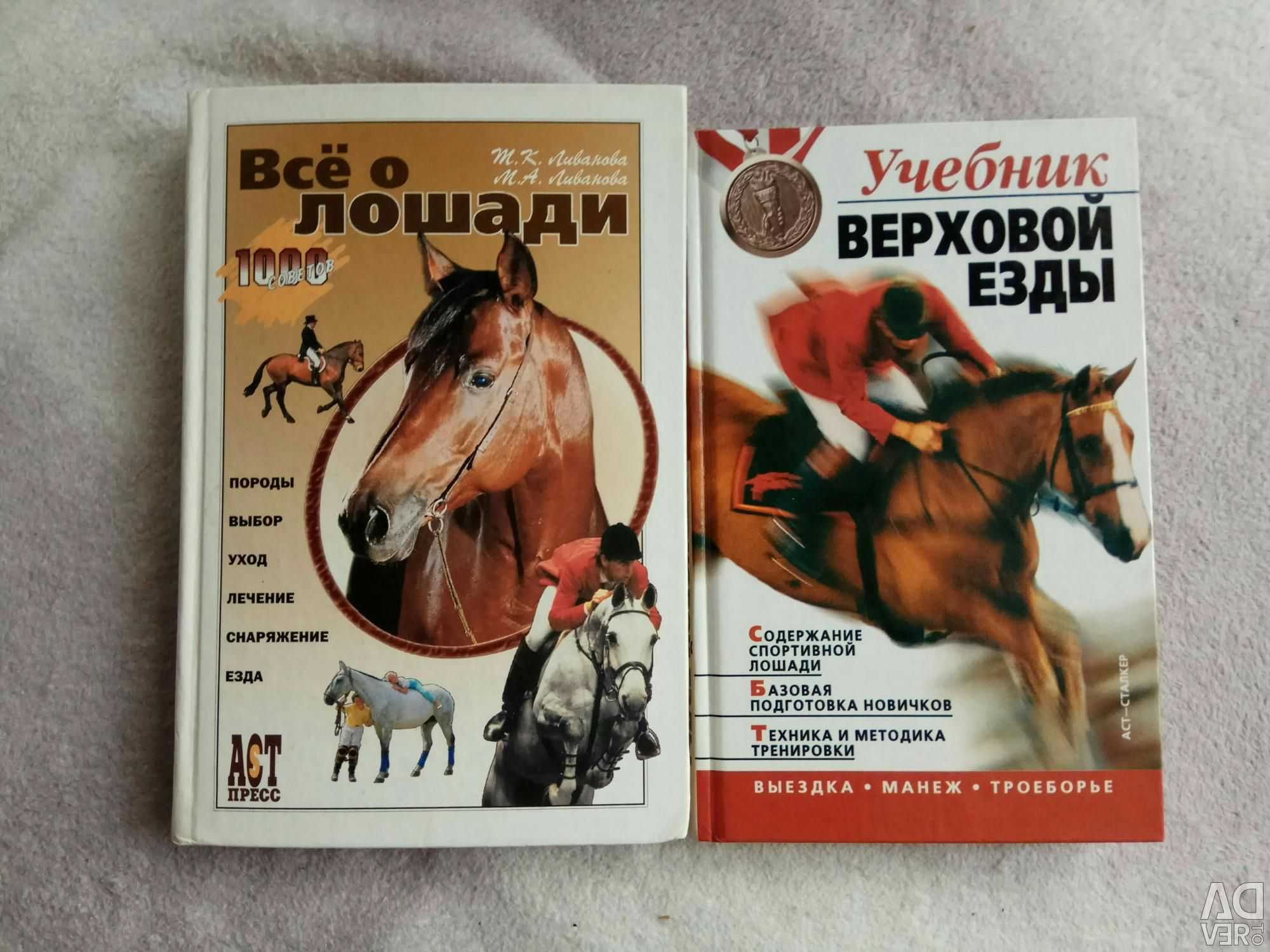 Верховая езда на лошадях: польза и правила езды, экипировка, фото