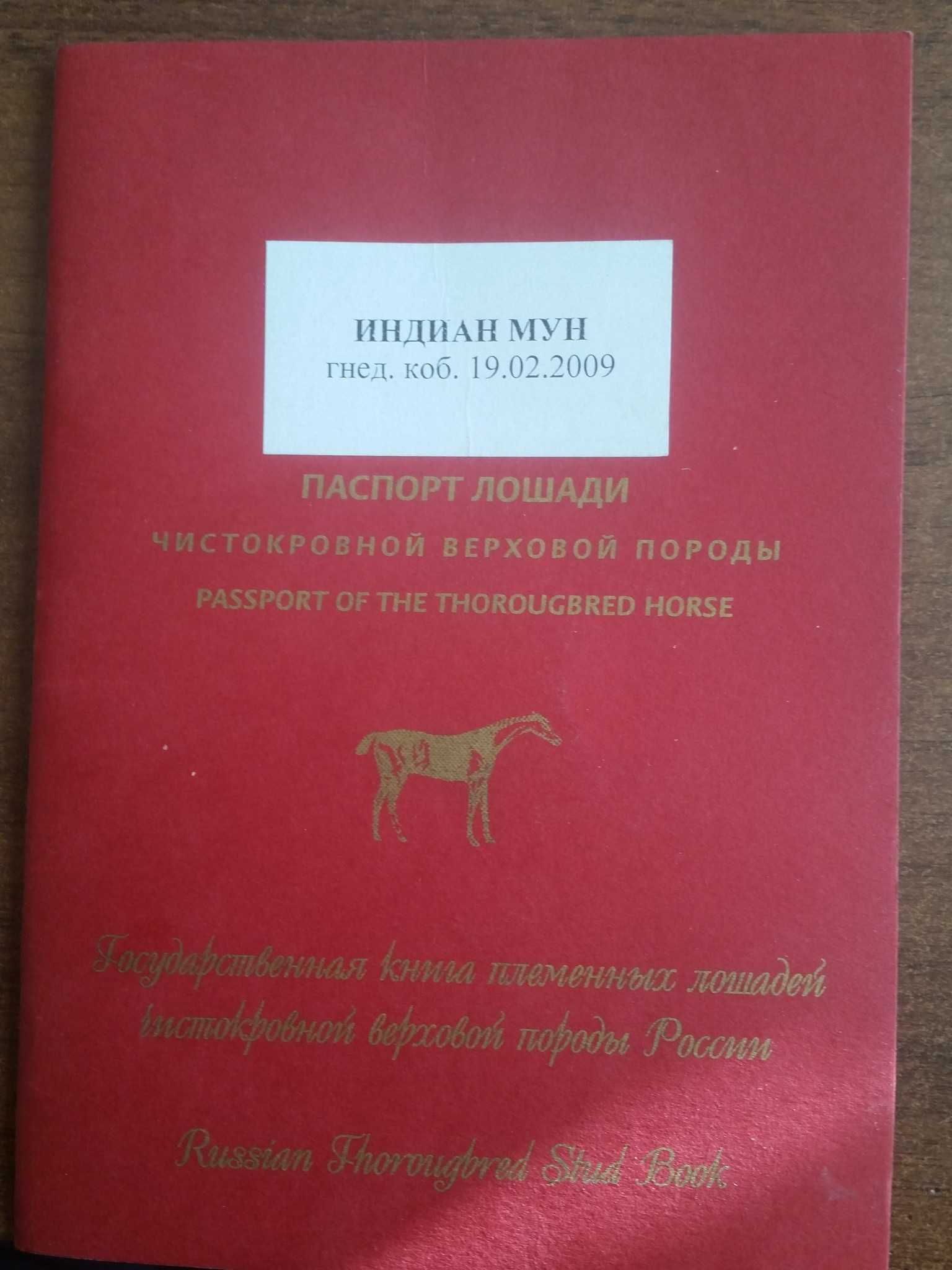 Ветеринарно-санитарный паспорт лошади