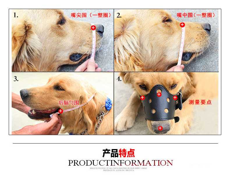 Как правильно выбрать намордник для собаки по размеру: инструкция