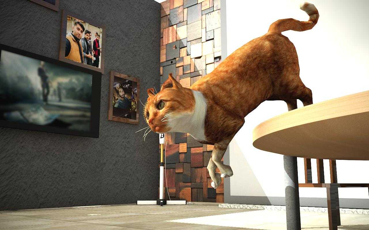 Топ-10 лучших игр про кошек на android для людей и кошек
