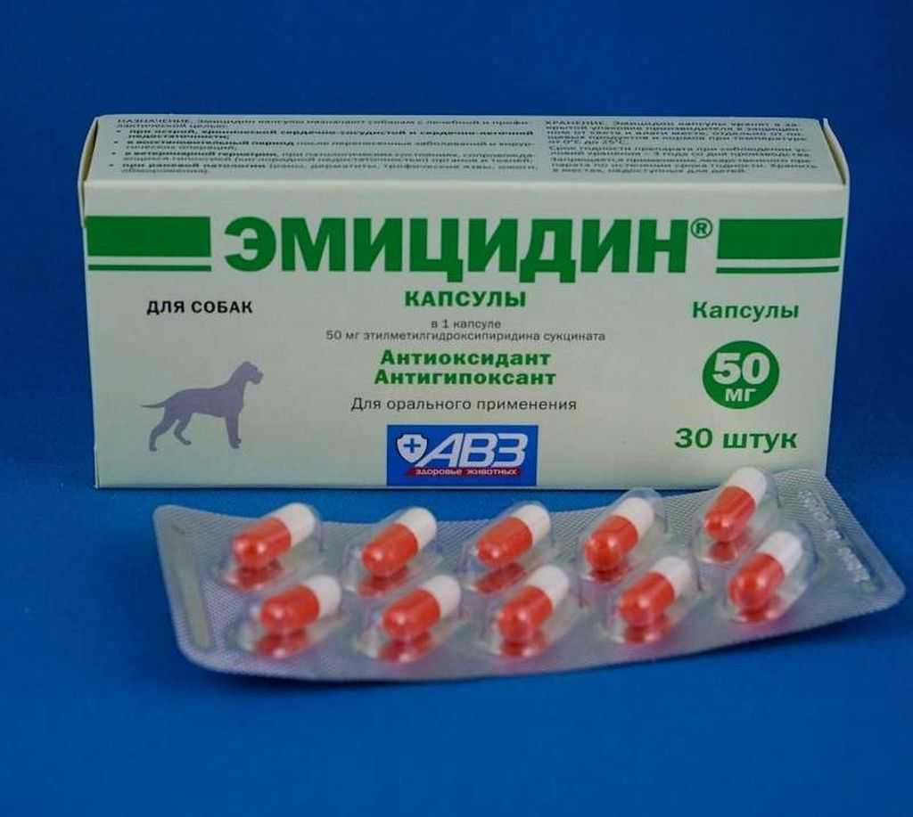 Эмицидин (капсулы, таблетки) для собак и кошек | отзывы о применении препаратов для животных от ветеринаров и заводчиков