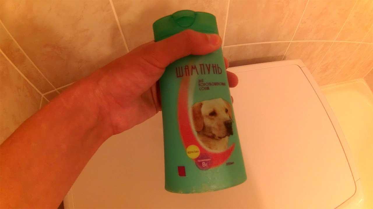 Чем заменить шампунь для собак