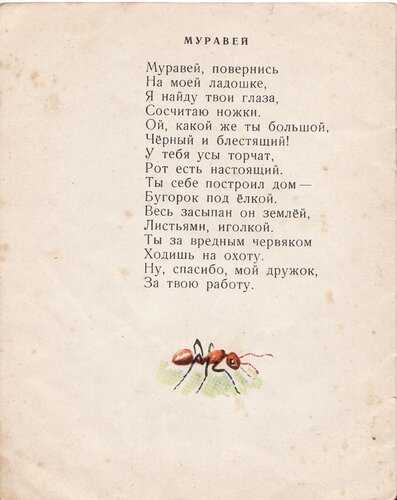 Сборник детских стихов о муравьях - от 0 и старше с красивыми и забавными иллюстрациями